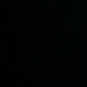 Meet your Posher, Antonio